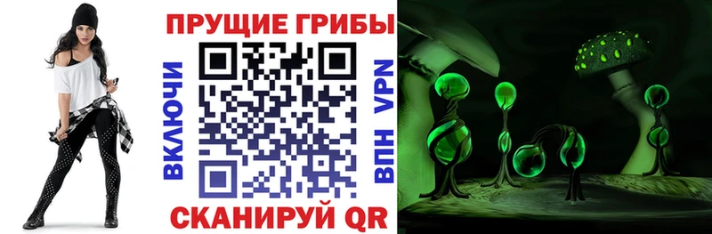 Галлюциногенные грибы Psilocybine cubensis Адыгейск